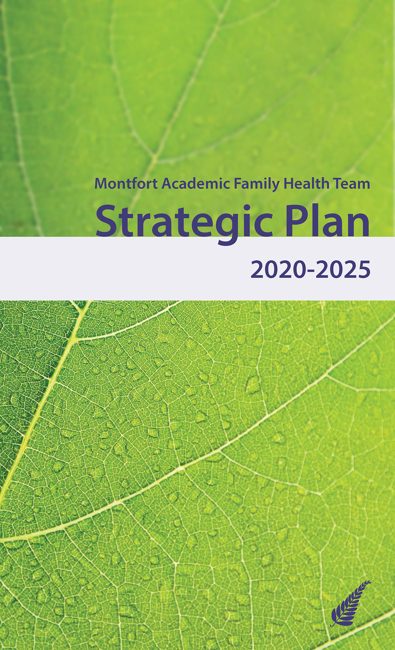 Strategic Plan Montfort Academic Family Health Team.